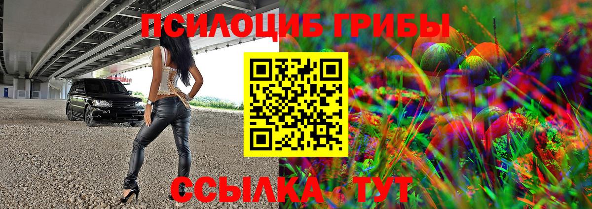 Псилоцибиновые грибы Magic Shrooms  Вход с VPN  Донской  Галлюциногенные грибы Magic Shrooms 